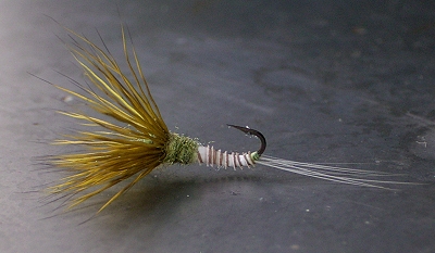 funneldun deer 01.jpg