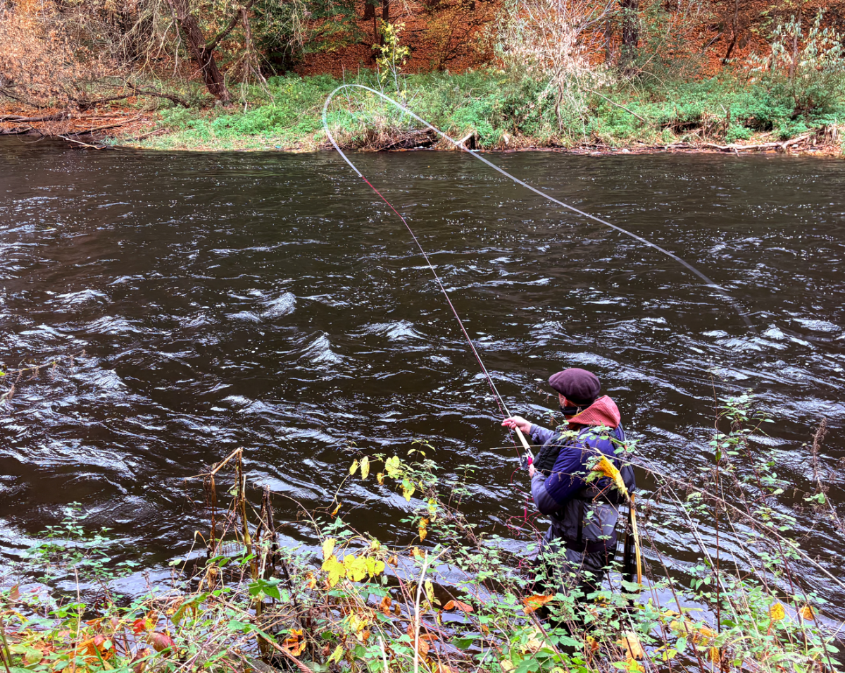 Troutspey II.png