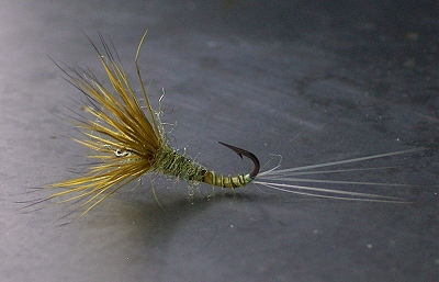 funneldun deer 02.jpg