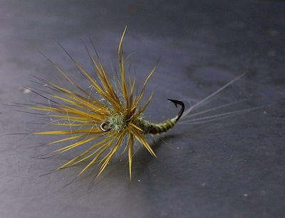 funneldun deer 03.jpg