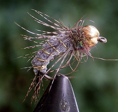 wildleder nymphe 01.jpg