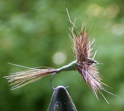 devaux tierhaar 01.jpg