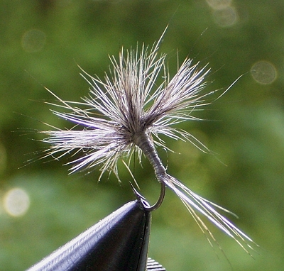 devaux tierhaar 02.jpg