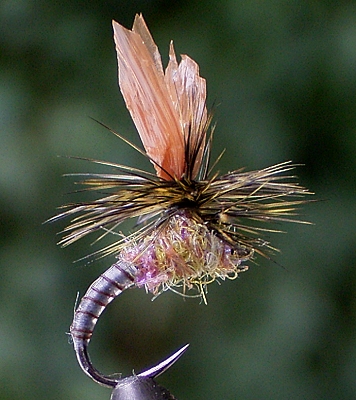 Bastfluegel Para 02.jpg