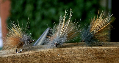 Duck Caddis all.jpg