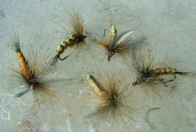 Foam Dun MiPe.jpg