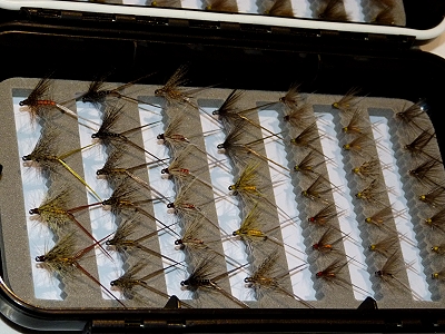 Pardon de Meana_ewf 2013.jpg