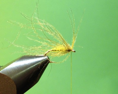 8.Bindeschritt:<br />Die Hechel beim aufwinden nach hinten abstreifen. Dabei ist darauf zu achten, dass alle Hechelgrannen nach hinten rausgehen und nicht wieder mit eingebunden werden. <br />Nun noch den Kopf finishen UND DANN AB ANS WASSER !!!