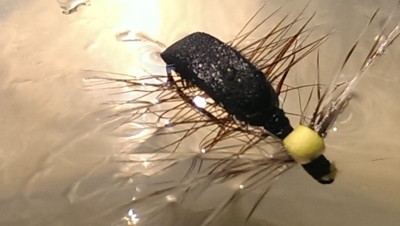 IMAG1746.jpg (96.97 KiB) 4496 mal betrachtet Bivisible Bug im Wasser top