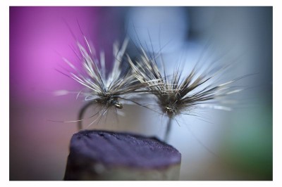 DSC_0186 [800x600].jpg