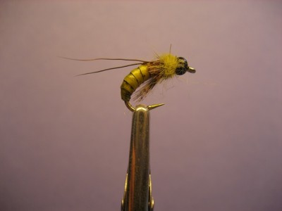 IMG_6687.JPG (57.7 KiB) 5259 mal betrachtet Caddis Pupa