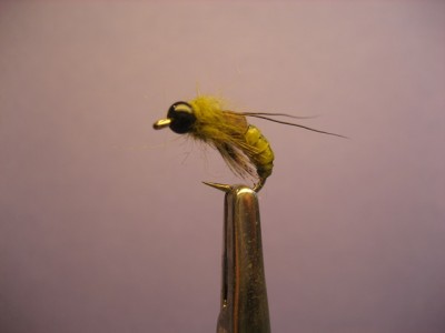IMG_6693.JPG (56.21 KiB) 5259 mal betrachtet Caddis Pupa