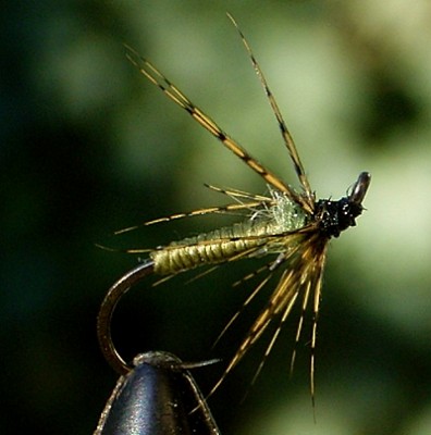 Gütermann Silk helloliv.jpg