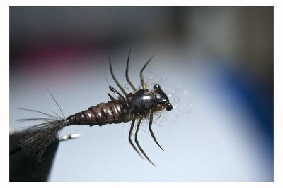 DSC_0269 [800x600].jpg