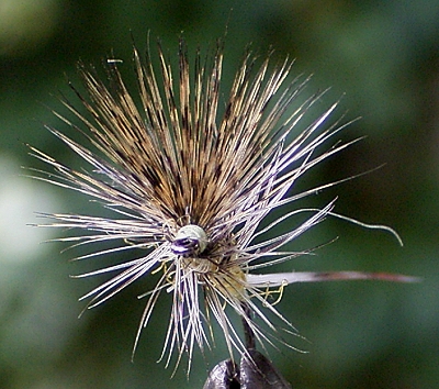 Pardon Versuch 1.jpg