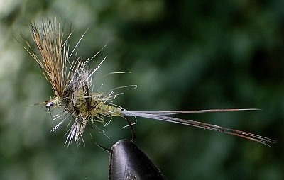 Pardon Versuch 2.jpg