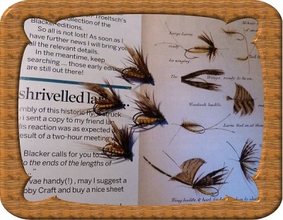 Shrivelled Larva 00.jpg