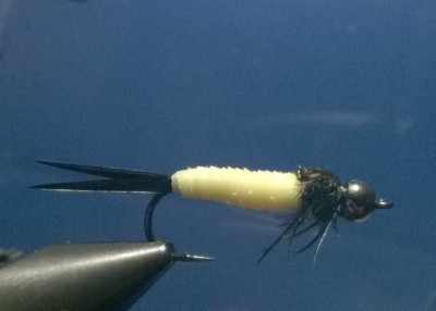 noch etwas bleich...