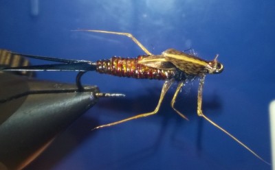 erster Versuch im realistischere Binden...