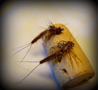 P1020622 - Kopie.JPG