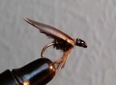 K640_2014-02-03 22.54.43.JPG