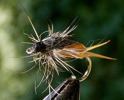 George Grant Stone 03a_front.jpg