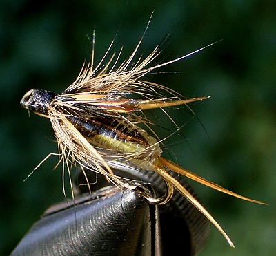 George Grant Stone 04a_oben.jpg