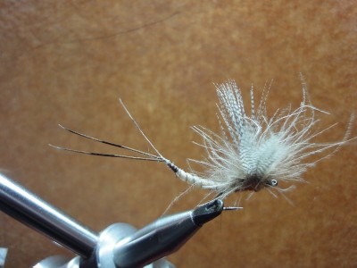 Fischen am Regen 2 149.JPG (140.92 KiB) 3321 mal betrachtet Paraloop Maifliege mit Flügel