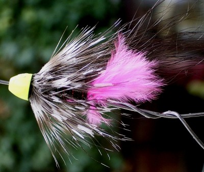 forellen tube 01.jpg