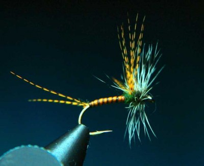 K800_001.JPG