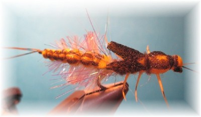 Foam Nymph  geändert.jpg