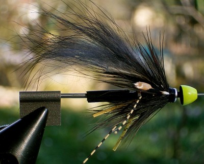 Black Spider Bottletube 01a.jpg