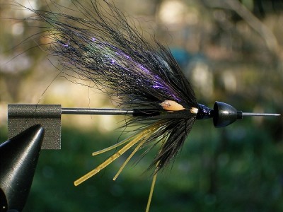 Black Spider Microtube 01a.jpg