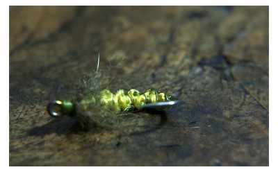 DSC_0706 [800x600].jpg