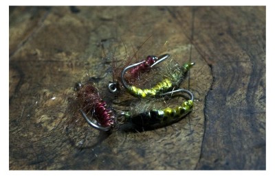 DSC_0711 [800x600].jpg