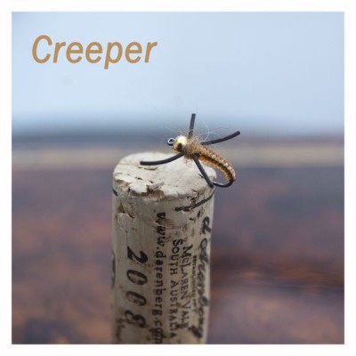 DSC_0727_r [800x600].jpg