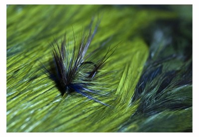 DSC_0746 [800x600].jpg