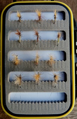 Ed Berg Var 04_box.jpg