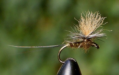 Ed Berg Var 05#16s.jpg