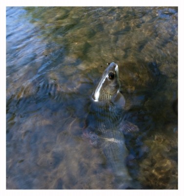 DSC_0766 [800x600].jpg