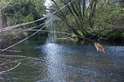 DSC_0849 [800x600].jpg