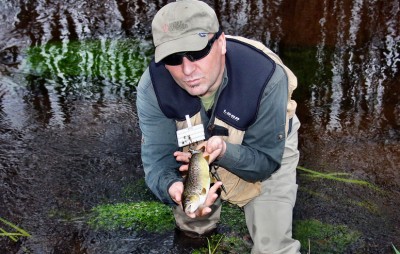 IMG_5747.JPG (204.06 KiB) 7164 mal betrachtet schöner Abschluß