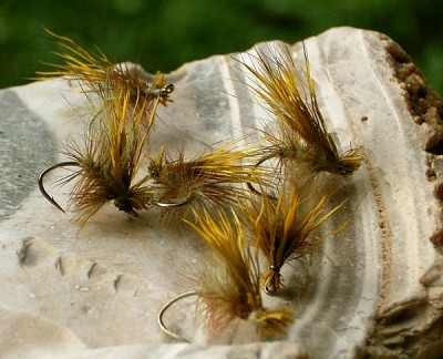 buck caddis 03.jpg