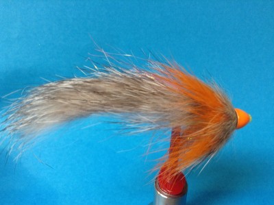 IMG_0520 f. FF-Forum.jpg