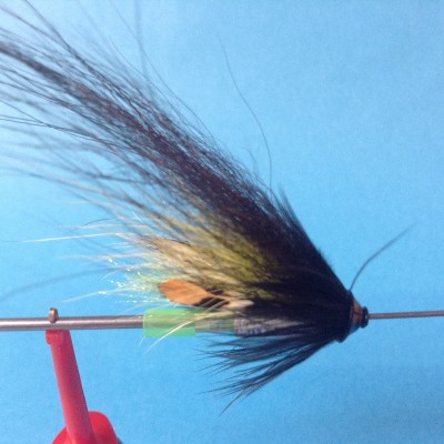 IMG_0530 f. FF-Forum.jpg