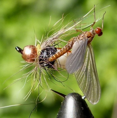 wer kommt den da.jpg