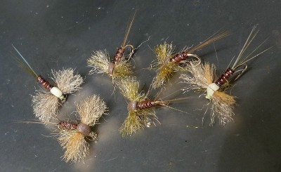 New Pheasanttail 00.jpg