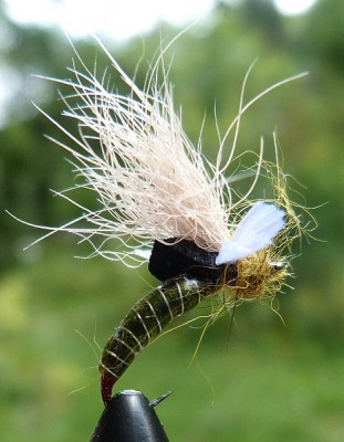 Fripple 03.jpg