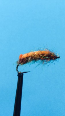Cinnamon Sedge