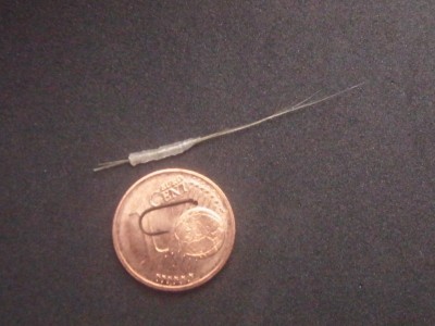 RIMG0066 [800x600].jpg